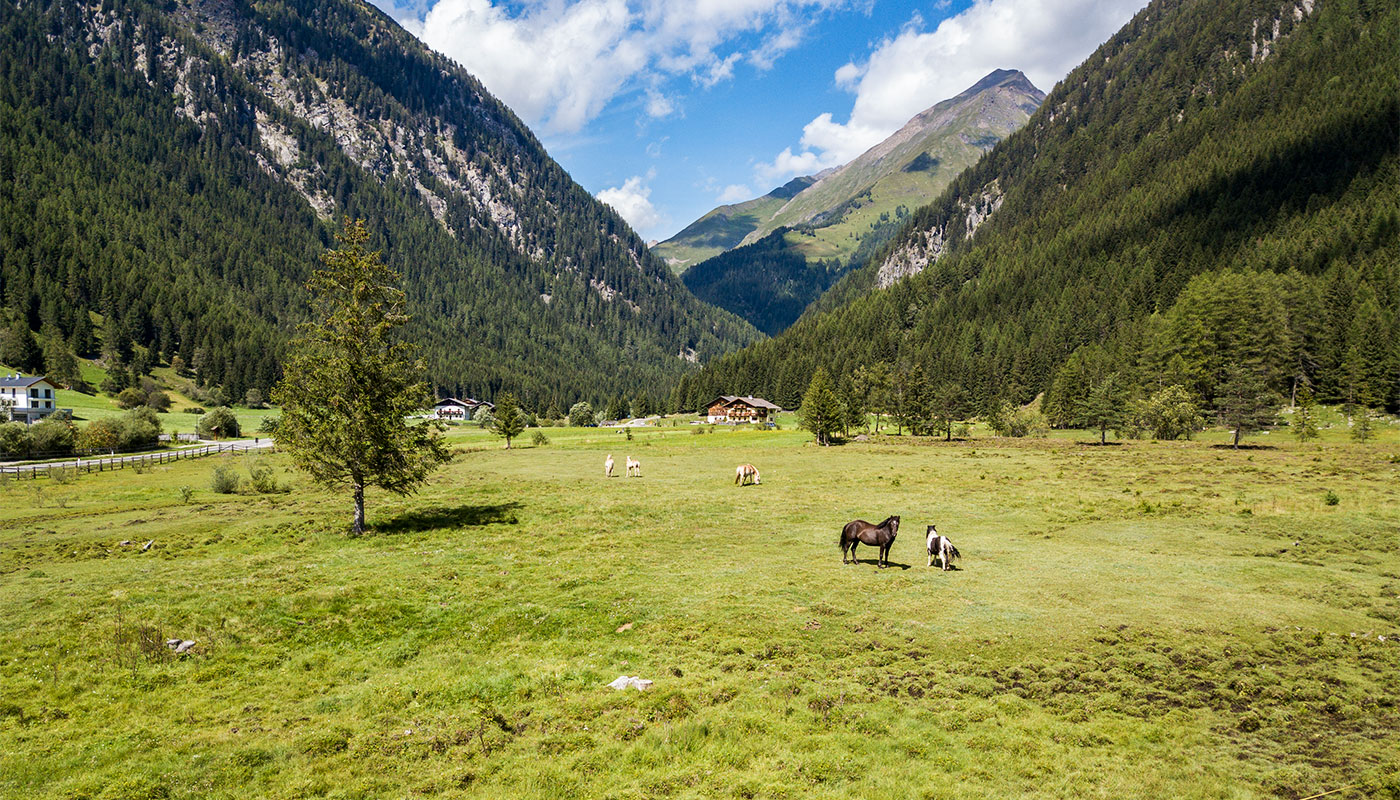 Gitschberg Jochtal